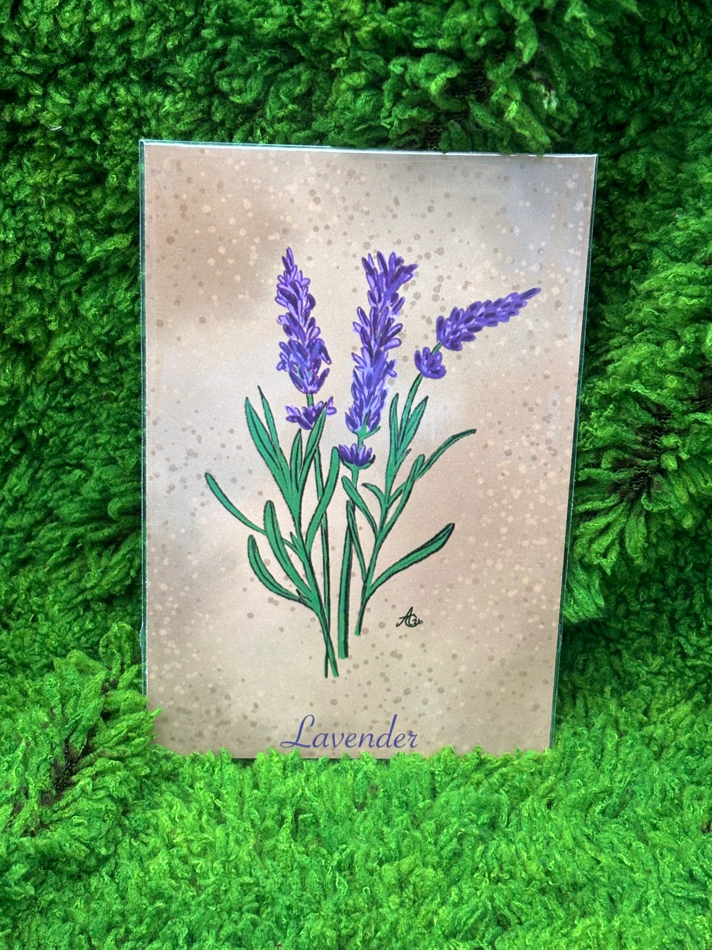 Art Prints - Small