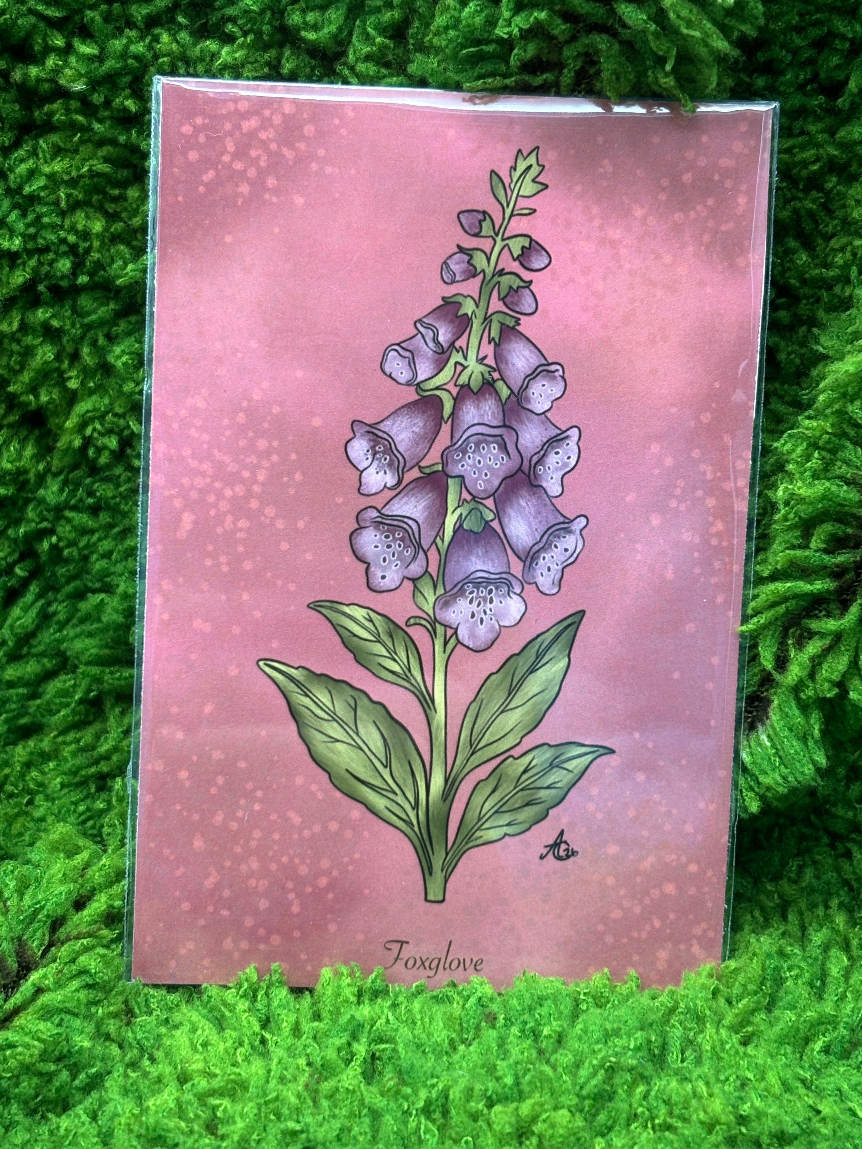 Art Prints - Small