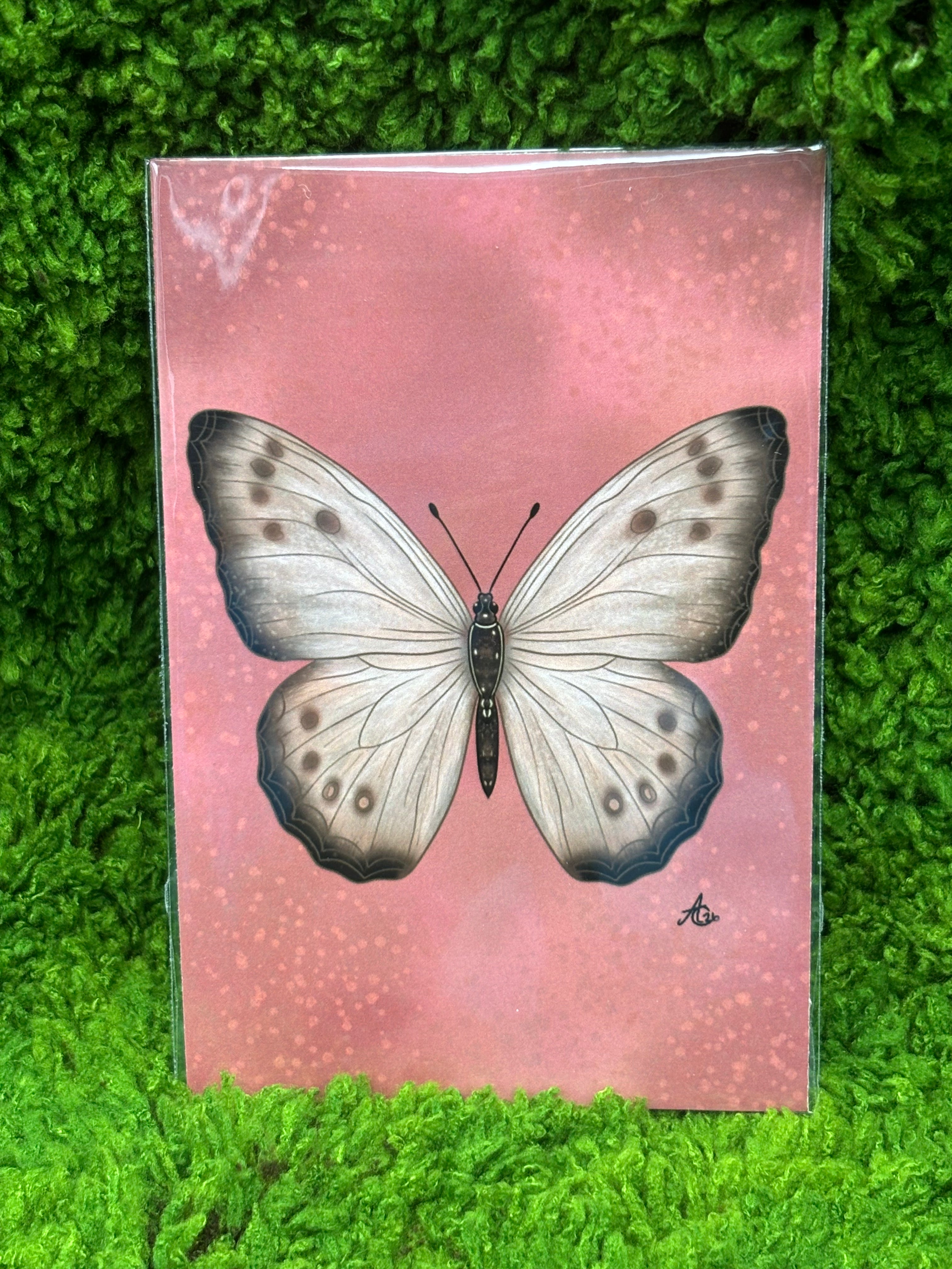 Art Prints - Small
