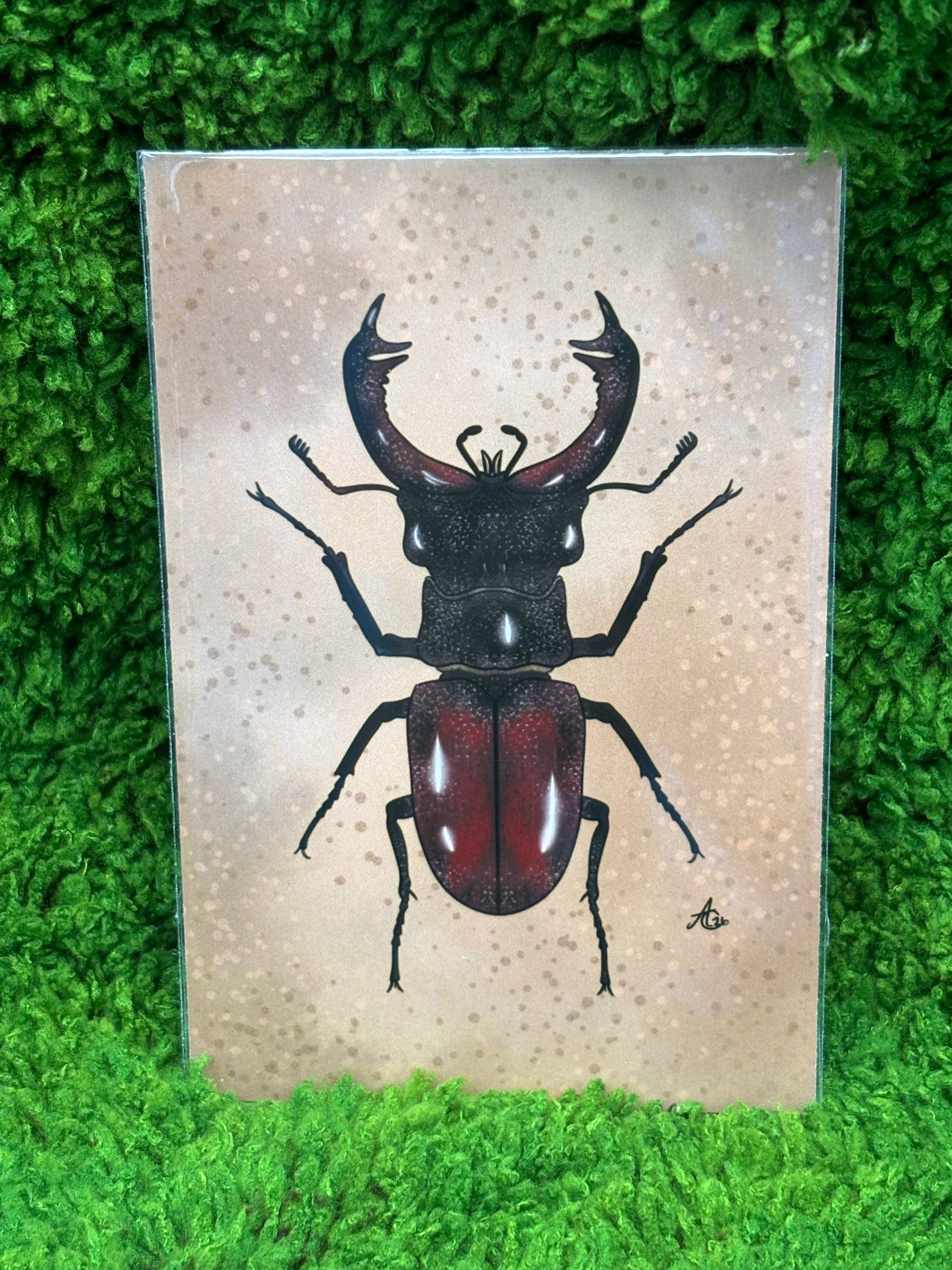 Art Prints - Small