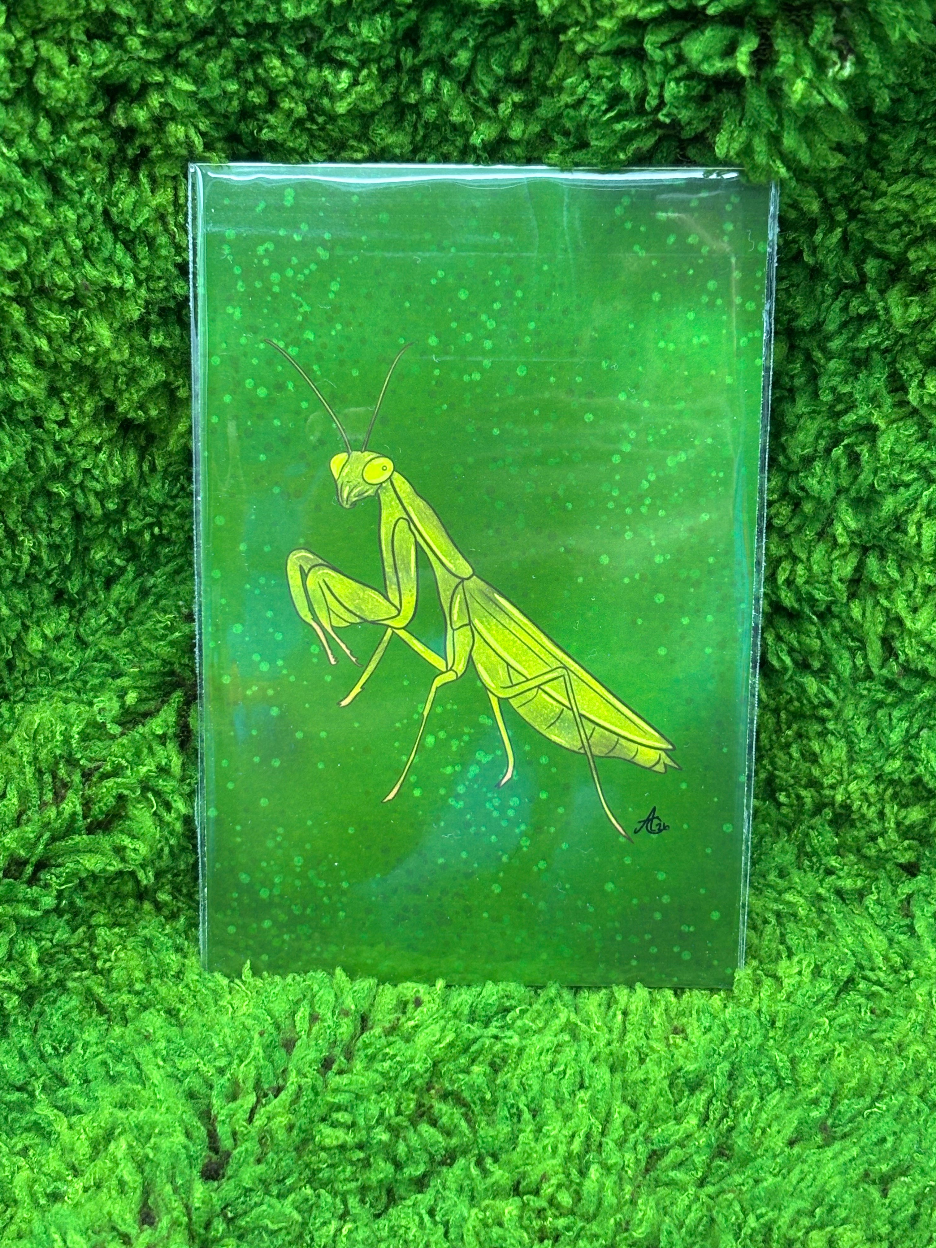 Art Prints - Small